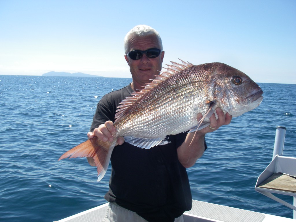 Red snapper