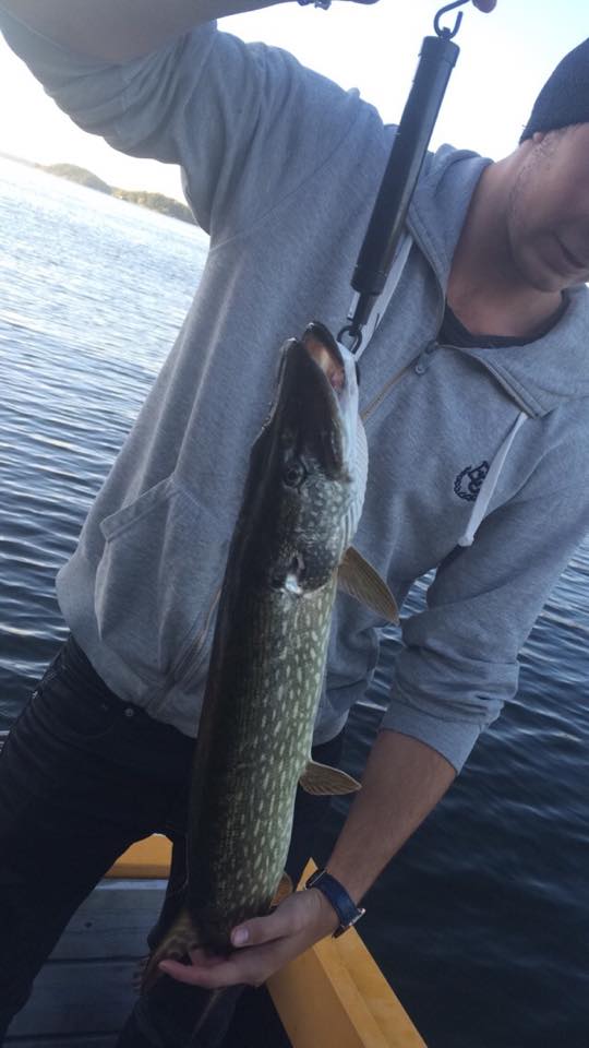 Pike