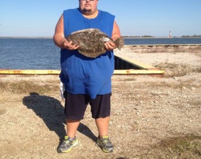 Flounder