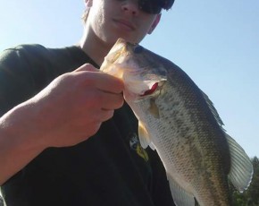 Large-mouth bass