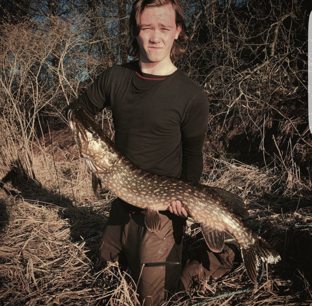 Pike