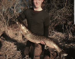 Pike