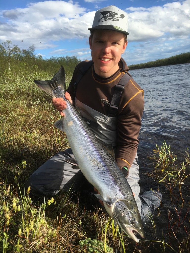 Atlantic Salmon