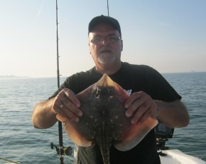 Thornback ray