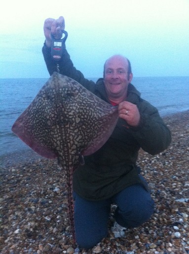 Thornback ray