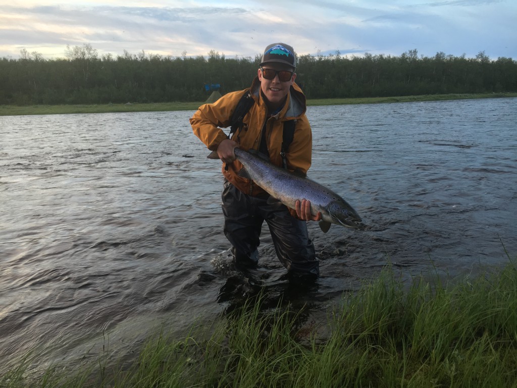 Atlantic Salmon